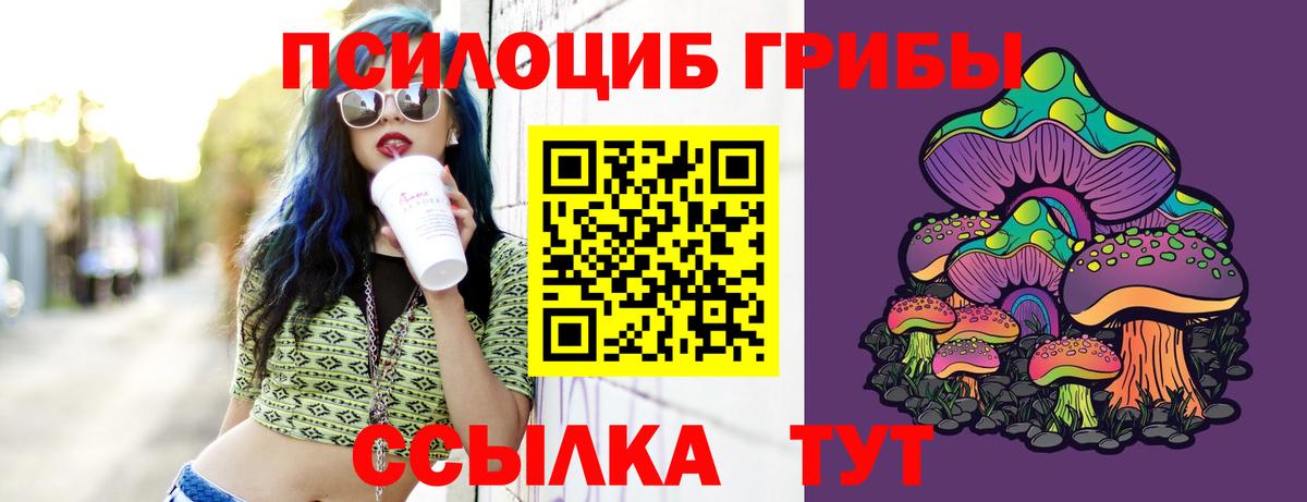 Конаково  Галлюциногенные грибы Cubensis  Вход с VPN 