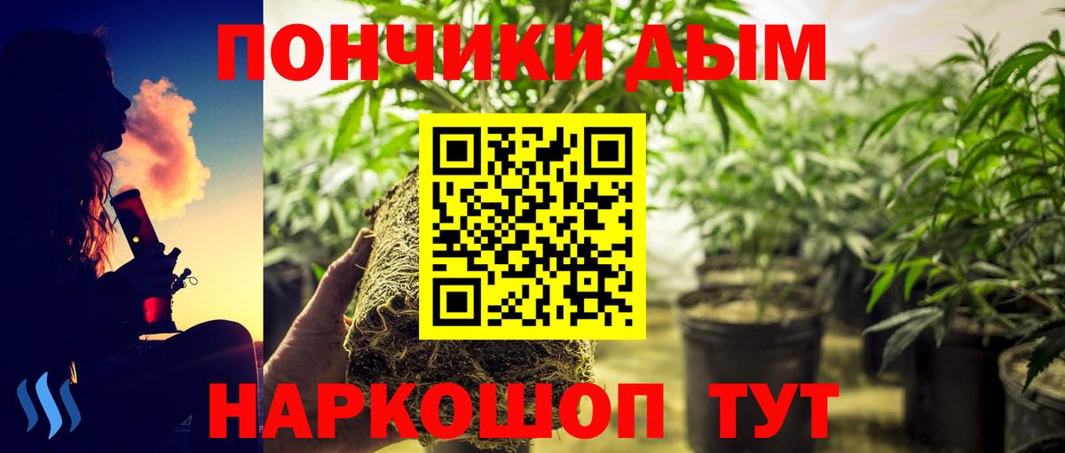 Конаково  Шишки марихуана индика  Бошки марихуана Bruce Banner  Каннабис семена  Вход с VPN 